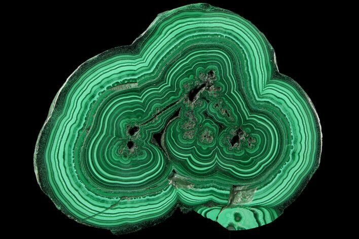 Polished Malachite Slab - Congo #94491